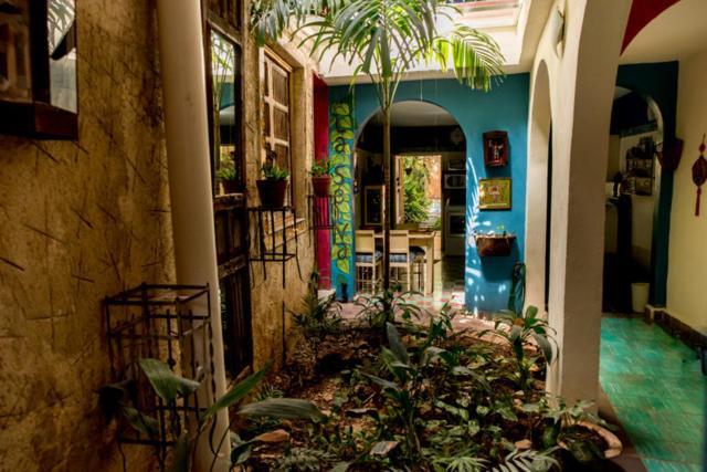 Majikal B&B - La Selva Mérida Eksteriør bilde