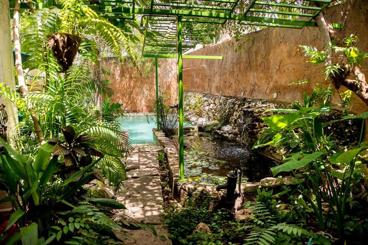 Majikal B&B - La Selva Mérida Eksteriør bilde